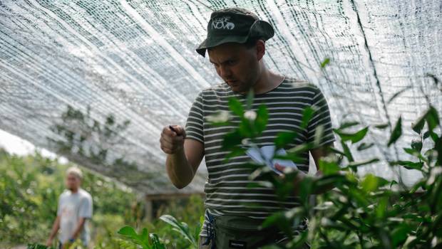 [Tribune] Les incendies en Amazonie sont plus désastreux que jamais et le changement climatique n'en est pas la seule cause