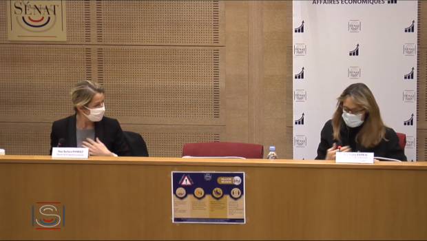 Pour le Sénat, la loi énergie-climat n’a pas eu les résultats escomptés