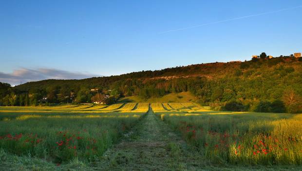 L’Office français de la biodiversité soutient 251 nouvelles communes