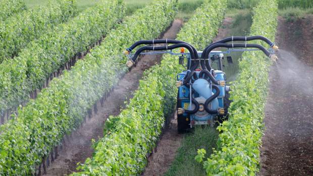 Une plainte déposée par neuf associations pour demander le retrait de 14 pesticides