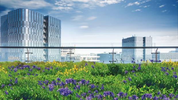 Soprema crée une gamme pour les eaux pluviales