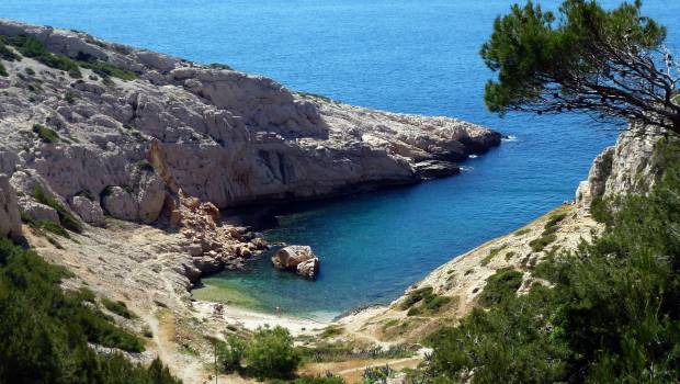 Le calendrier du Congrès mondial de la nature est fixé