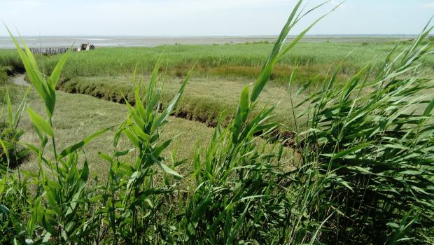 [Dossier] Adapto gère le trait de côte en souplesse