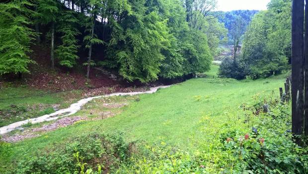 Les solutions fondées sur la nature face aux enjeux de biodiversité et des risques naturels liés à l’eau