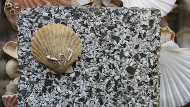 Six nouvelles solutions bas-carbone pour la construction distinguées