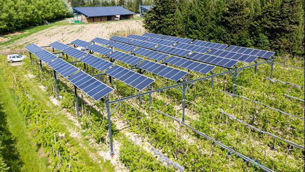 Financement de panneaux photovoltaïques sur exploitation agricole