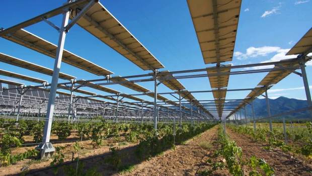 [Dossier] Cultiver et produire de l’énergie, une question d’équilibre