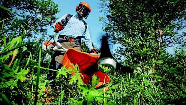 Filière paysage : les indicateurs au vert malgré la crise sanitaire