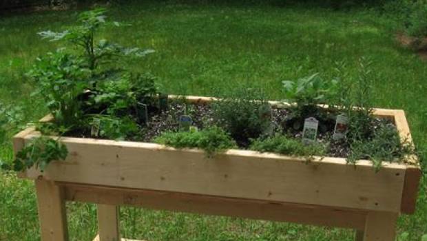 Région Île-de-France : les habitants peuvent voter pour les projets écologiques