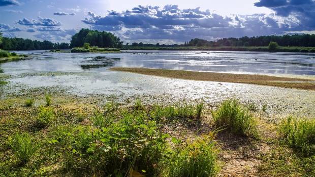 Site naturel du Carnet : un recours judiciaire déposé contre le projet d’aménagement