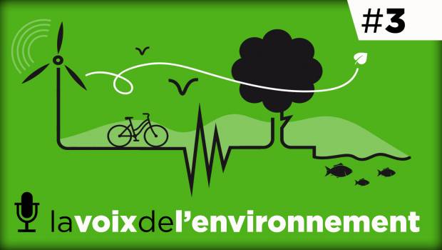 [A écouter] En Gironde, un projet de parc solaire prévoit d'abattre 1000 hectares de forêt