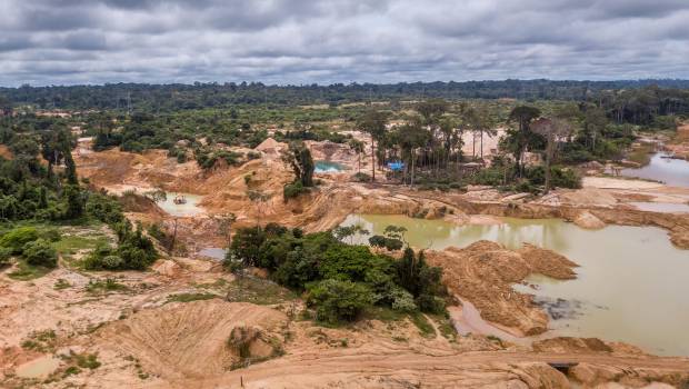 Déforestation en Amazonie : le groupe Casino assigné en justice par des ONG environnementales