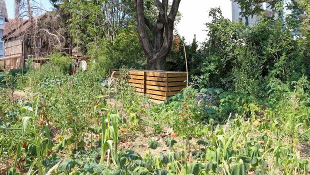 Lyon : création d'un fonds de soutien dédié aux initiatives écologiques et solidaires locales