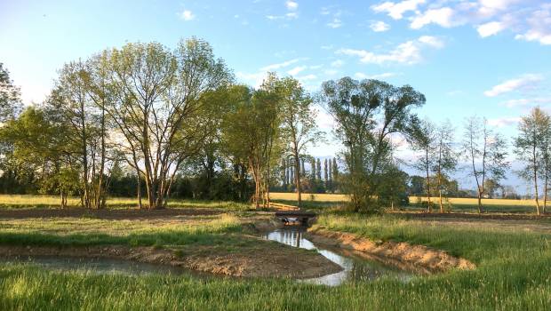 [Dossier] La restauration de rivières vaut une récompense au Syndicat mixte du bassin versant de l’Armançon