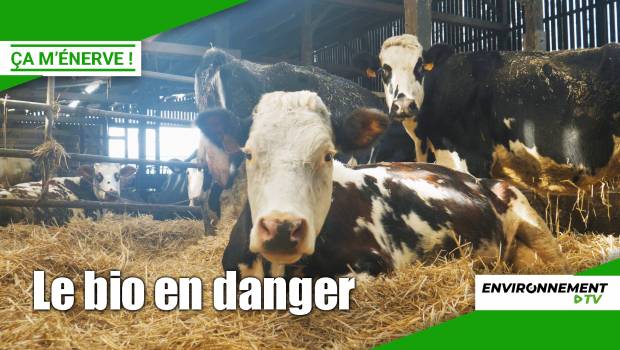 [Vidéo] Agriculteurs bio : la difficile relève