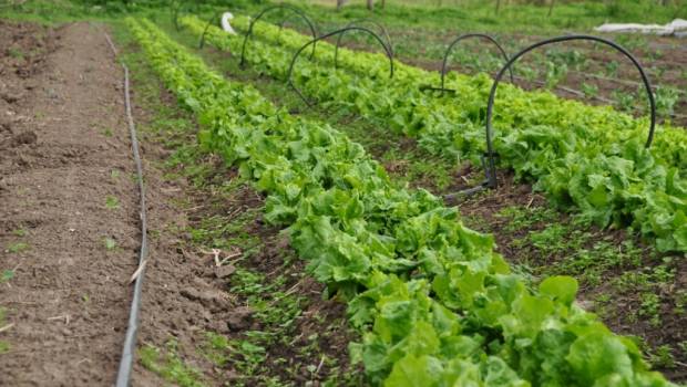 [Avis des pros] Les récentes évolutions réglementaires dans un contexte de changement global