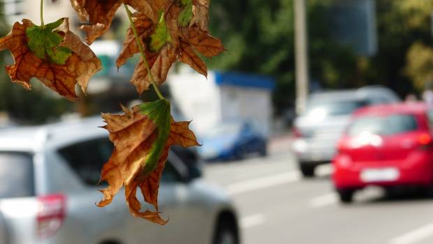 Le carbone suie associé à un risque accru de cancer