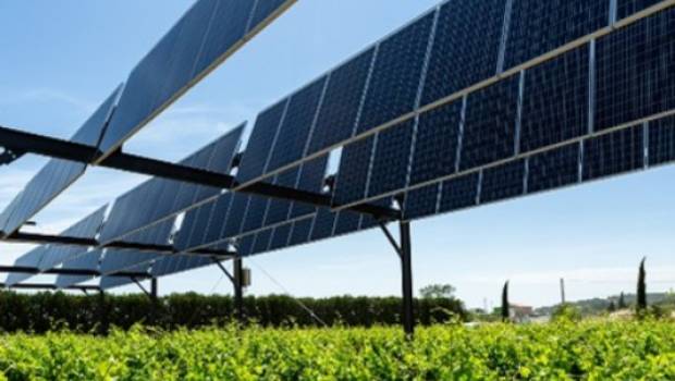 Sun’Agri et Engie Green s’associent pour le déploiement de l’agrivoltaïsme