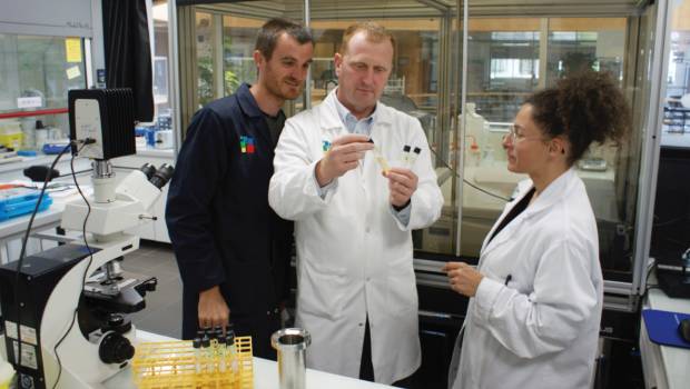 [Dossier] Réemploi, seconde vie : les alternatives s’étoffent