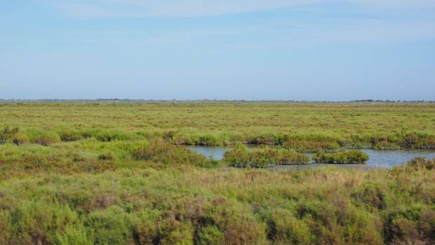 Les Parcs naturels régionaux mobilisés dans la transition agroécologique