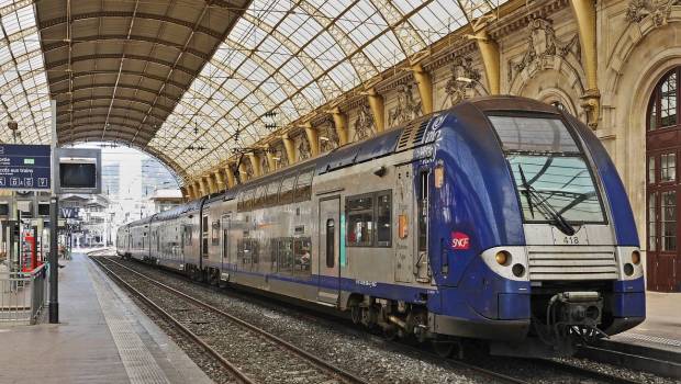 B100 : le biocarburant au colza pour verdir la flotte ferroviaire