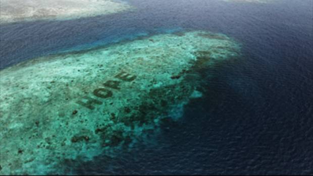Hope Reef : Mars Petcare lance le plus grand programme de protection des coraux
