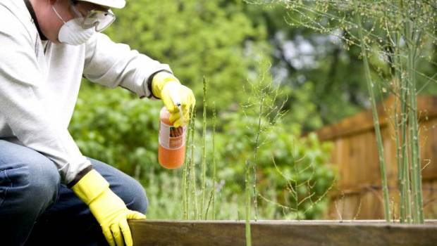 29 ONG interpellent l’Anses sur des pesticides en vente libre