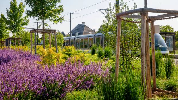 QualiPaysage dévoile le premier label dédié aux entreprises du paysage