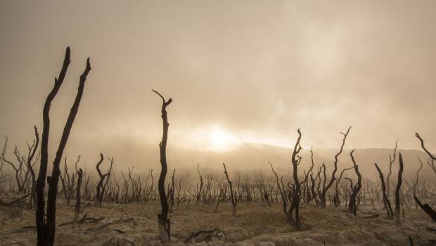 Le réchauffement climatique aggrave la crise alimentaire dans le monde