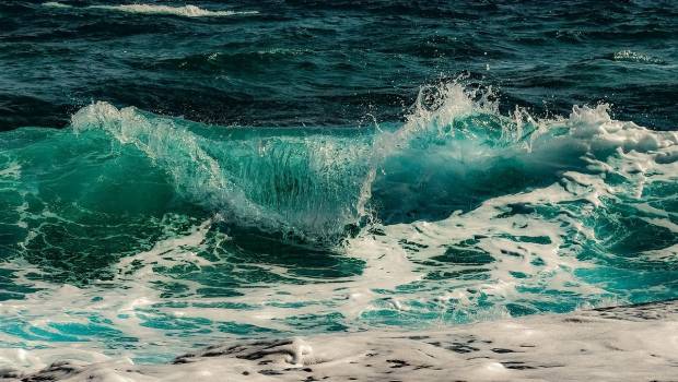 Ocean Approved : le premier label international dédié à la préservation des océans