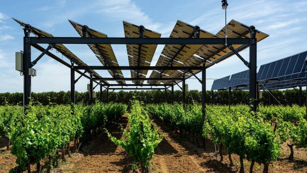 Boralex et Sun’Agri s’associent pour accélérer l’installation de l’agrivoltaïsme en Europe