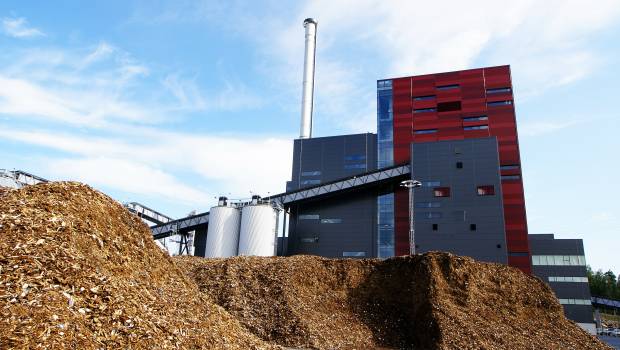 Biovéa, la plus grande centrale biomasse d’Afrique de l’Ouest sera opérationnelle en 2024