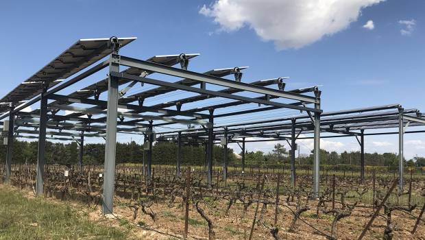 La filière agrivoltaïque en voie de structuration avec la nouvelle association France Agrivoltaïsme