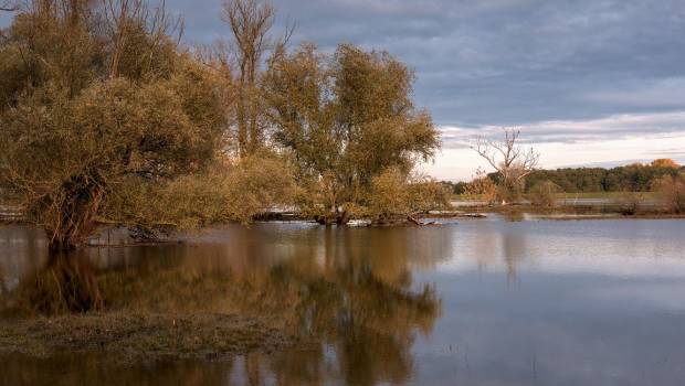 Seine grands lacs et la chambre d’agriculture d’Île-de-France collaborent pour la gestion des zones d’expansion de crue