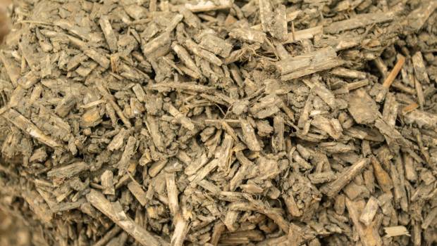 Le projet NG2B vise la création d'une « carte d’identité » des bétons végétaux