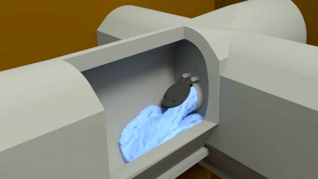 La modélisation en 3D au service de la gestion des réseaux