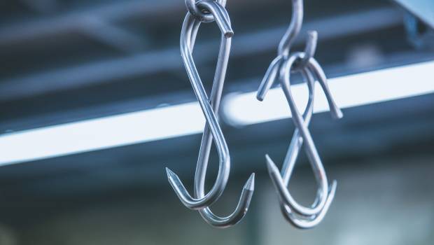 Le gouvernement investit 115 millions d’euros dans la modernisation des abattoirs