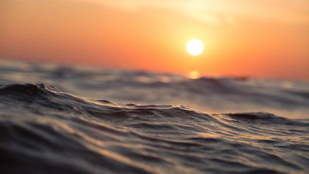 Swen Blue Ocean maximise l'impact positif sur les océans
