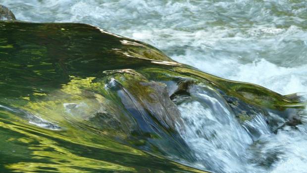 Une application renseigne sur la qualité bactériologique des eaux de baignade