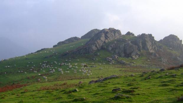 Les Conservatoires d’espaces naturels veulent établir une fondation d’utilité publique