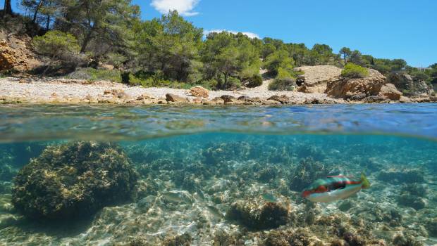 Littoral méditerranéen : un niveau de contamination inférieur aux seuils réglementaires environnementaux