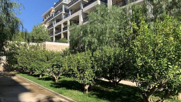 [Dossier biodiversité/1] Bouygues Immobilier construit une stratégie à l’échelle de ses projets