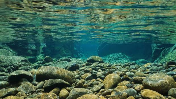 Technique de mesure directe de la DBO
