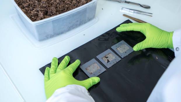 Carbiolice favorise la compostabilité du plastique rigide