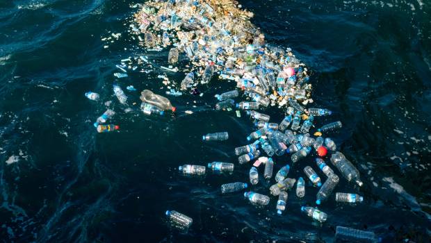 L'ONG WWF révèle le véritable coût « caché » du plastique