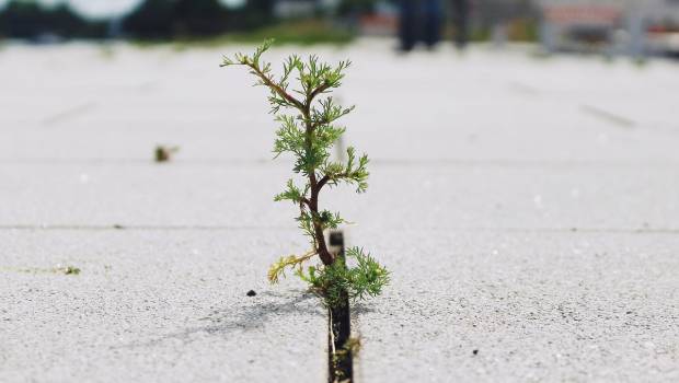 L'OFB et le Cerema coopèrent contre l'érosion des sols