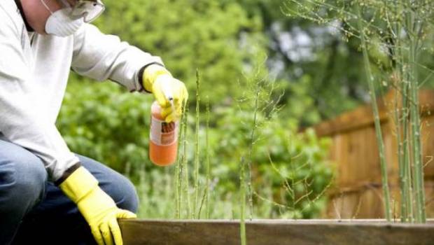 Ré-homologation du glyphosate : des études scientifiques manquent à l'appel, dénonce Générations Futures