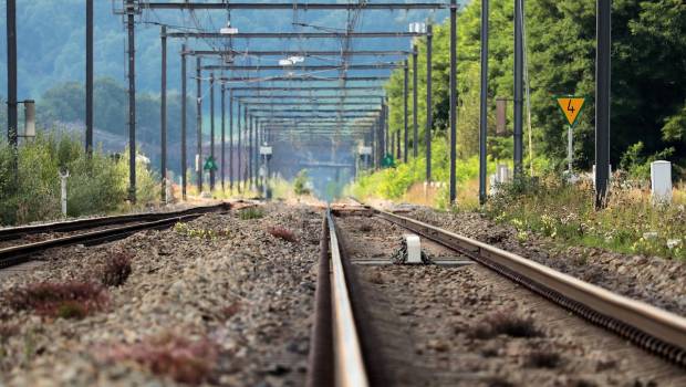 SNCF Réseau et la LPO réaffirment leur engagement en faveur de la biodiversité