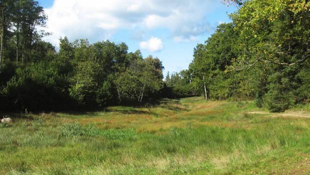 Gestion des milieux : l'EPTB de la Vienne recherche des plans d’eau à supprimer
