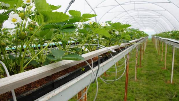 [Dossier/1] Eaux de pluie et agriculture : coup double pour le milieu